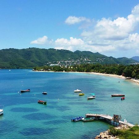Studios Carribean Sea View Sainte-Anne Zewnętrze zdjęcie