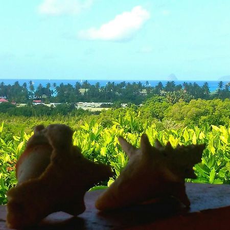 Studios Carribean Sea View Sainte-Anne Zewnętrze zdjęcie