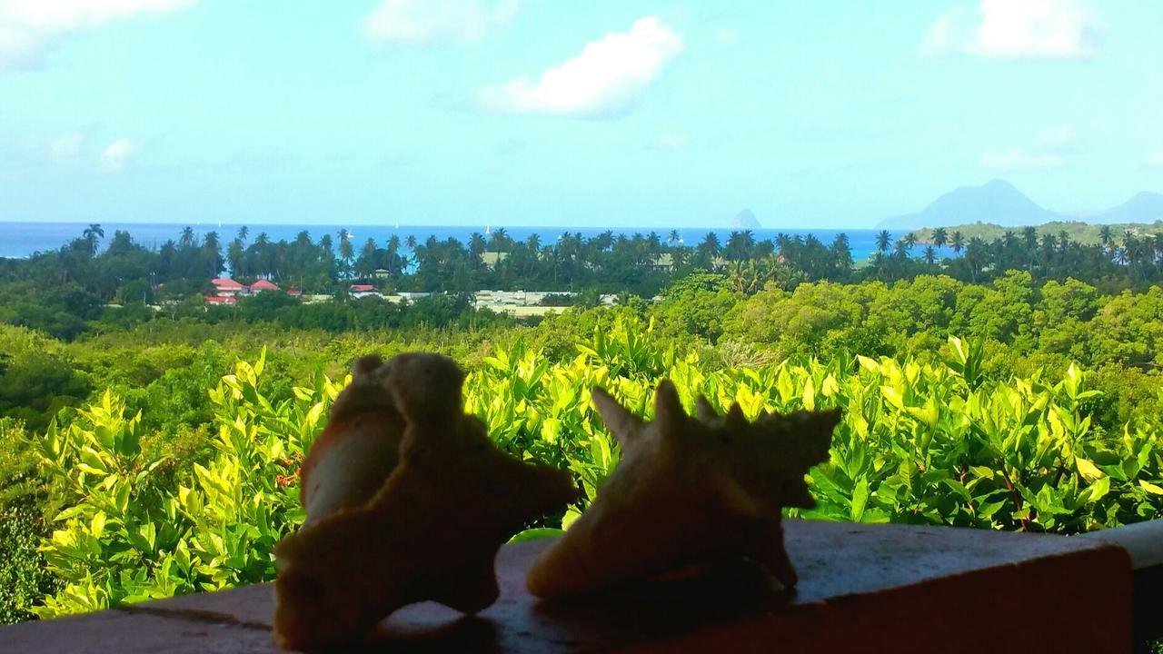Studios Carribean Sea View Sainte-Anne Zewnętrze zdjęcie